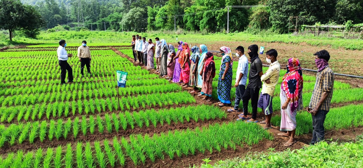 PM Kisan Yojana